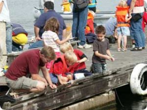 Kollotips – Korttids- eller sommarvistelse i naturskön miljö strax söder om Göteborg