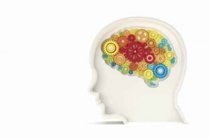 ”Den friska delen av hjärnan kan ta över funktioner från den skadade”