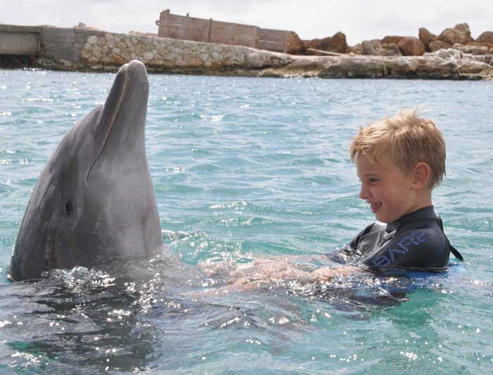 Bad med delfiner och nya hjälpmedel lockar till Leva & Fungera