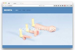 Sexleksaker ska avslöja fördomar på Leva & Fungera
