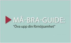 GUIDE: ”Öva upp din förnöjsamhet”