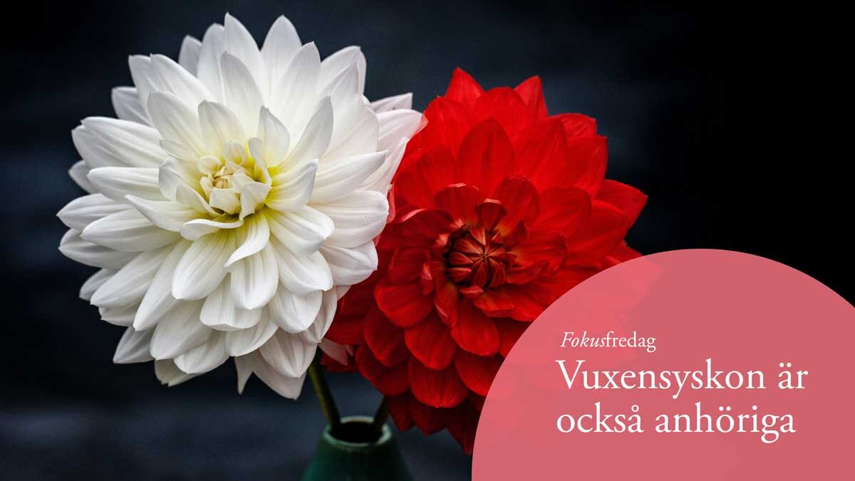 Vuxensyskon