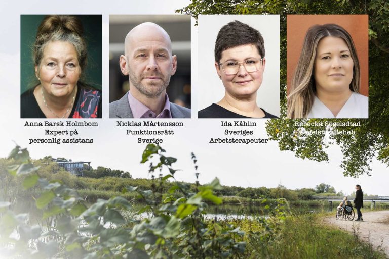 Anna Barsk Holmbom, Nicklas Mårtensson, Ida Kåhlin och Rebecka Segelstad.