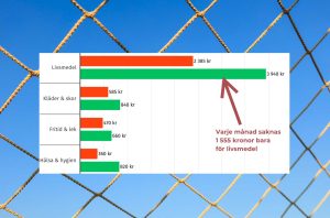 Grafik om försörjningsstöd och hushållskostnader
