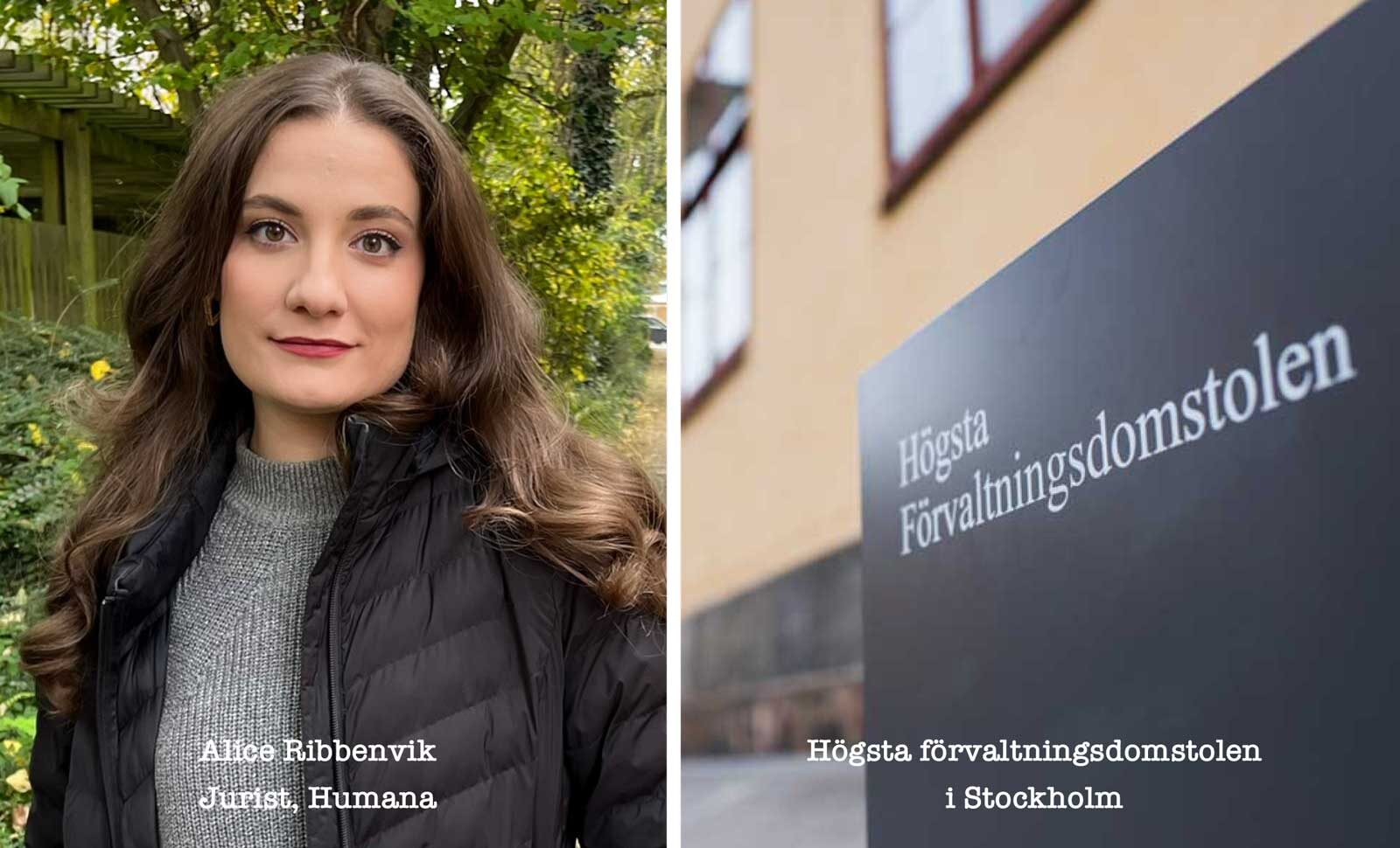Alice Ribbenvik och Högsta förvaltningsdomstolen