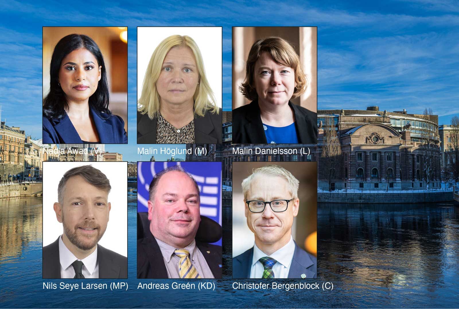 Nadja Awad, Malin Höglund, Malin Danielsson, Nils Seye Larsen, Andreas Greén och Christofer Bergenblock.