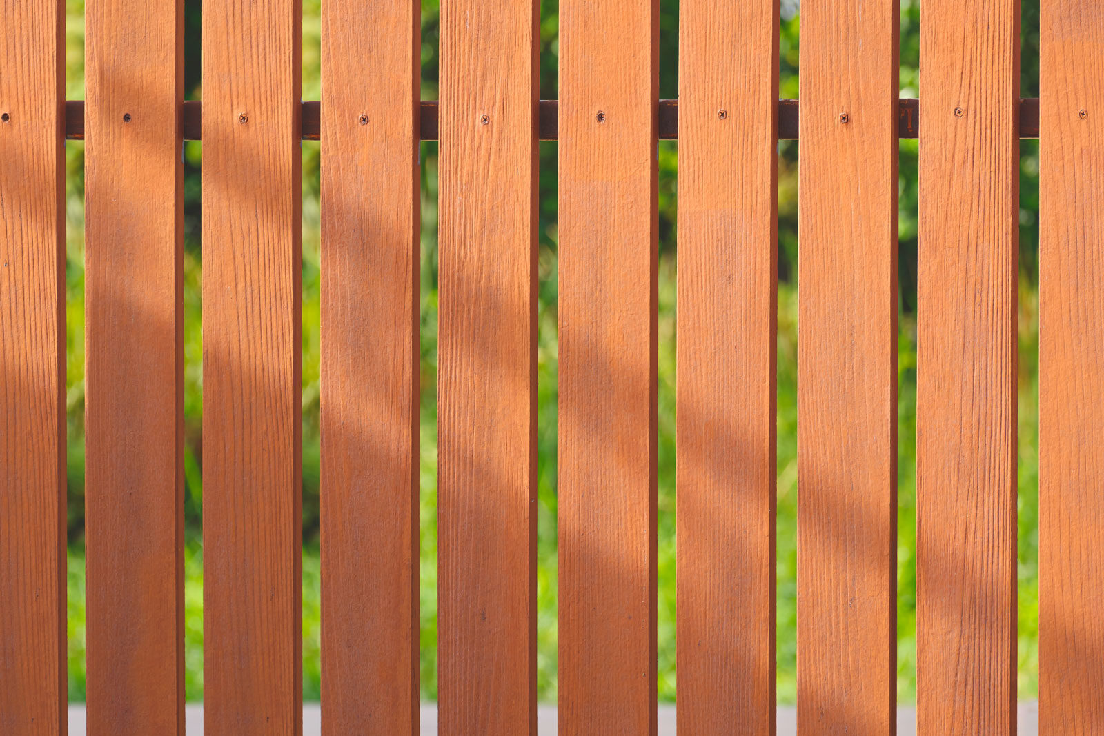 Staket. Foto: Envato Elements.