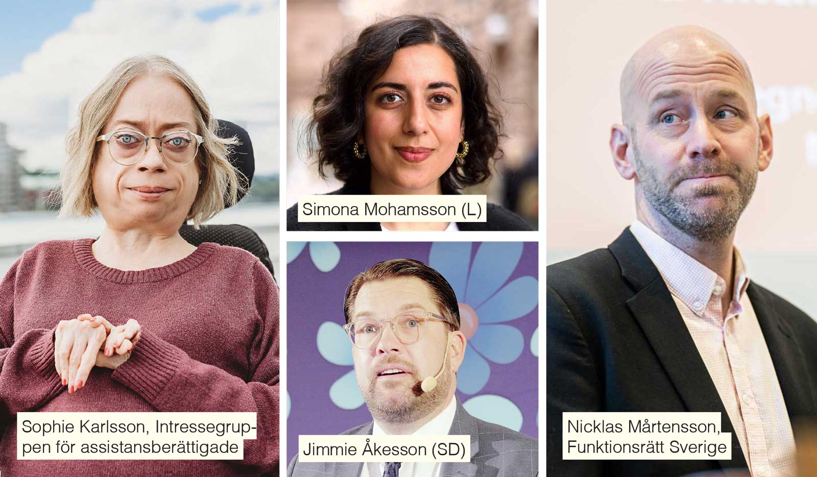 Sophie Karlsson, Simona Mohamsson, Jimmie Åkesson och Nicklas Mårtensson.